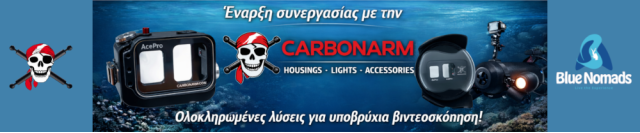 Carbonarm