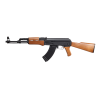 Τυφέκιο Airsoft AEG  DL ASG Arsenal SLR105 complete set
