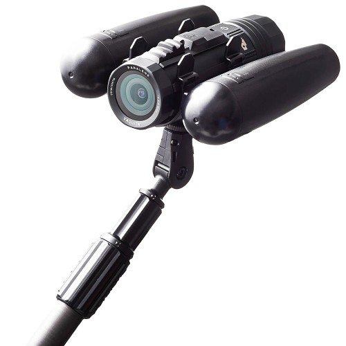 PARALENZ Vaquita Third Person Viewer