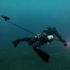 PARALENZ Vaquita Third Person Viewer