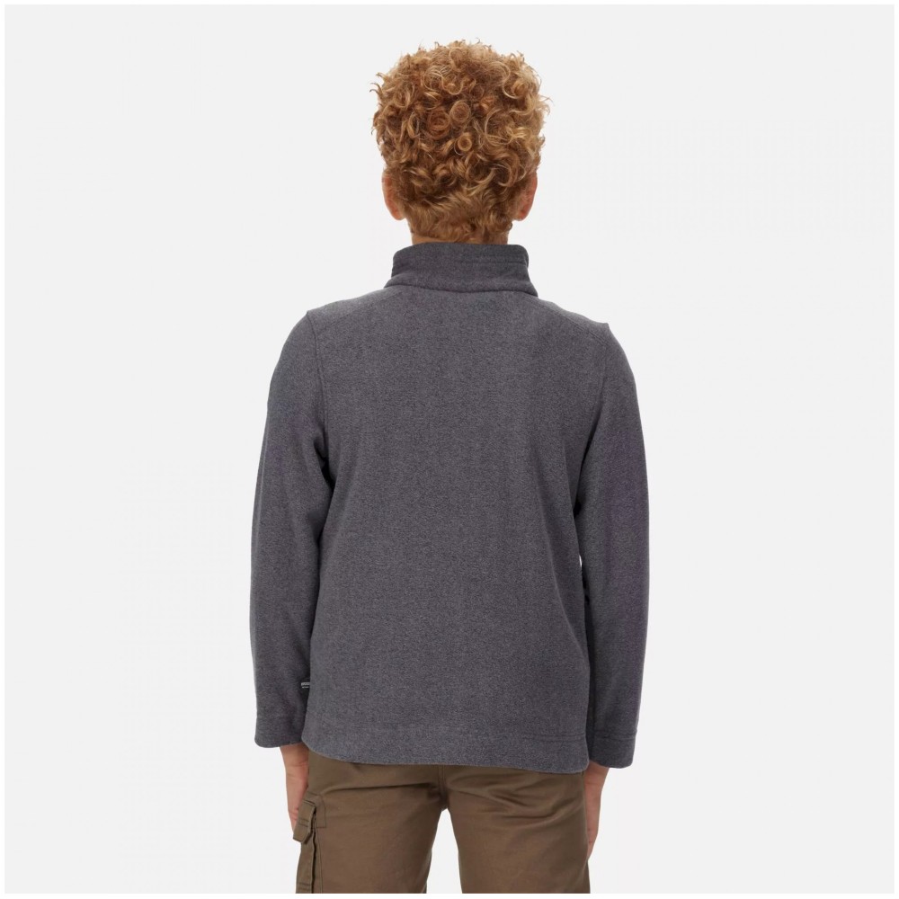 Παιδικό fleece REGATTA Cabe jr half zip - γκρι