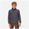 Παιδικό fleece REGATTA Cabe jr half zip - γκρι
