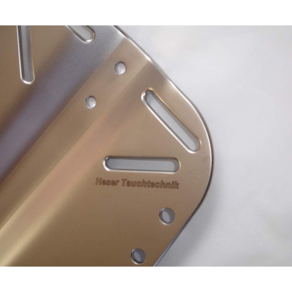 HESER BACKUP Backplate heavy-weighted 4.6kg / 6mm (Standard Size)