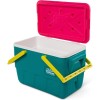 Ψυγείο IGLOO Picnic25  23Ltr
